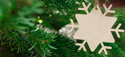 POM DE CRĂCIUN ȘI DECORAȚIUNI DE CRĂCIUN