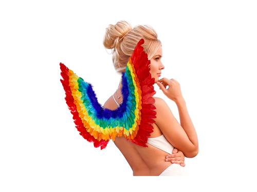 Aripi de pene curcubeu 60×40 cm