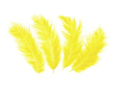 Pene decorative galbene lungi - 50 buc.