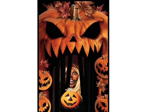 Perdea de decorare pentru ușă Pumpkin - 145 x 240 cm - 1 buc.
