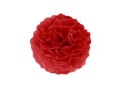 Decorațiuni florale suspendate pom pom - roșu - 25 cm - 1 buc.