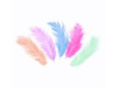 Pene decorative mix de culori lungi - 50 buc.