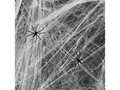 Pânză albă de păianjen cu păianjeni pentru Halloween - 20 g - 1 op.