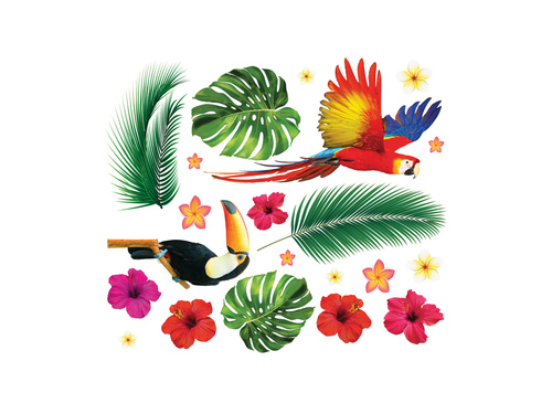 Abțibilduri păsări tropicale - 21 buc.