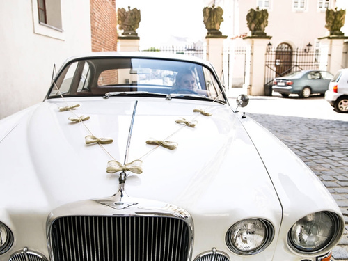 Set de decorațiuni auto Bows - 5 elemente.