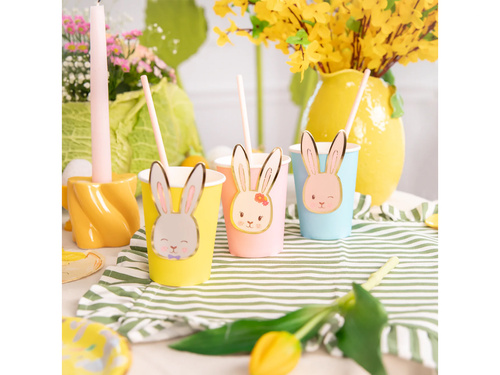 Pahare de hârtie Hares - 220 ml - 6 buc.