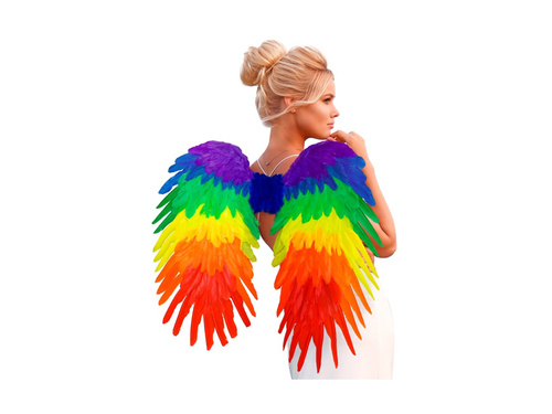 Aripi de pene pliabile Rainbow 80×60 cm