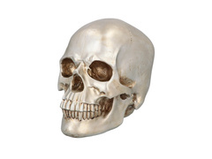 Craniu strălucitor de Halloween - 1 buc.