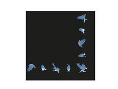 Șervețele Raven Halloween - 33 cm - 16 buc.