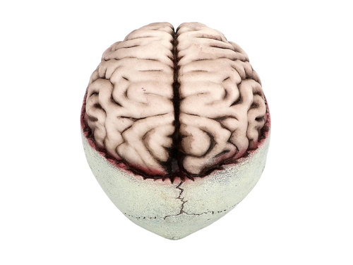 Craniu de Halloween cu falcă mobilă - 1 buc.