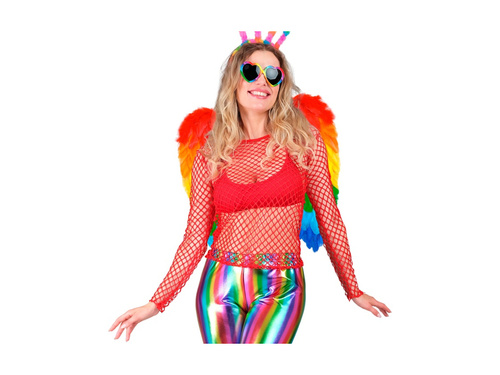 Aripi de pene pliabile Rainbow 50×50 cm