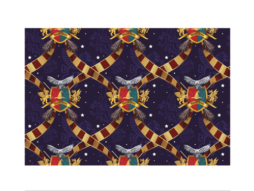 Față de masă cu folie Magic School - 137 x 274 cm - 1 buc.