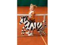 Balon cu folie Zebra - 115 x 85 cm - 1 buc.