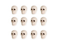 Cranii de Halloween - 5 x4 cm - 12 buc.