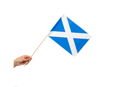 Steag național al Scoției pe băț - 30 x 20 cm - 10 buc.