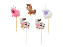 Lumânări de picnic agricole - 5 buc.