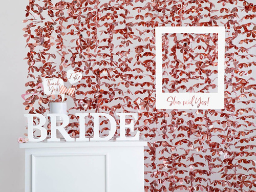 Decor din lemn litera D - alb