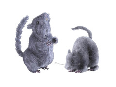 Decor pentru șobolani - 14 cm - 1 buc.