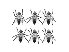 Muște de plastic pentru Halloween - 6 buc.