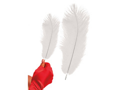 Pană albă mare - 30 cm - 1 buc.