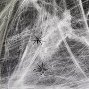 Pajęczyna biała - 20 g