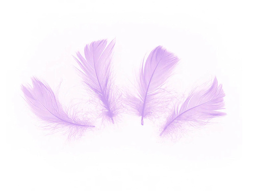 Pene scurte violet decorative - 50 buc.