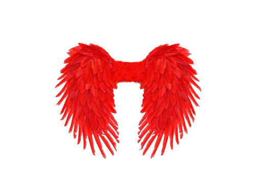 Aripi de pene pliabile roșii 80×60 cm