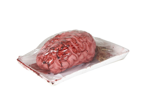 Creier artificial pe o tavă - 1 buc.