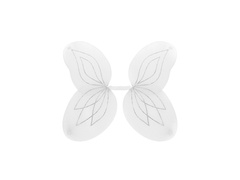 Aripi albe 58×46 cm