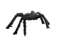Păianjen păros - 50 cm