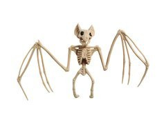 Skeleton de liliac - 30 cm - 1 buc.