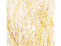 Umplutură cadou alb și auriu - 50 g