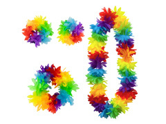 Set - set hawaiian colorat - 4 piese