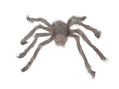 Păianjen gri - 60 cm - 1 buc.