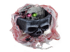 Bol craniu schelet - 1 buc.