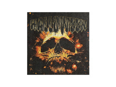 Șervețele cu craniu de Halloween - 33 cm - 10 buc.