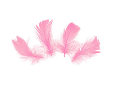 Pene scurte decorative roz - 50 buc.