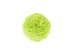 Decorațiuni florale suspendate pom pom - verde - 15 cm - 1 buc.