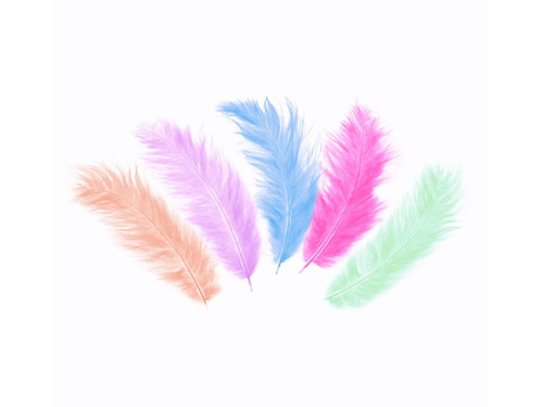 Pene decorative mix de culori lungi - 50 buc.