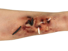 Rană din latex - viermi - 1 buc.