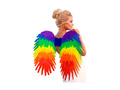 Aripi de pene pliabile Rainbow 80×60 cm