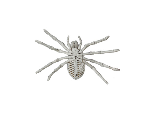 Spider Skeleton decor - 24 cm - 1 buc.