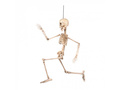 Decor suspendat Schelet - 50 cm - 1 buc.