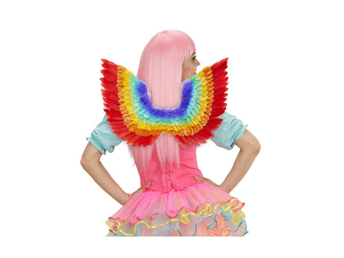 Aripi de pene curcubeu 60×40 cm