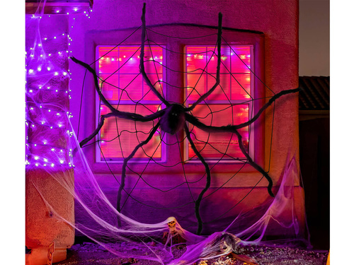 Pânză de păianjen cu păianjen - 1 op.