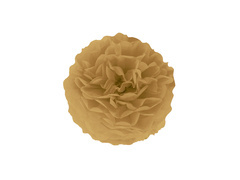 Decorațiuni florale suspendate pom pom - maro auriu - 25 cm - 1 buc.