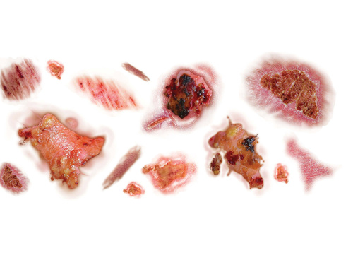 Tatuaje lavabile Halloween Scars - 14 buc.