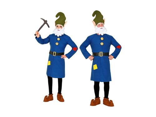Costum gnom