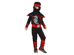 Ninja Dragon costum