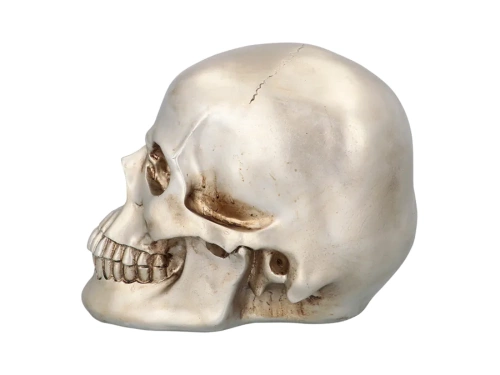 Craniu strălucitor de Halloween - 1 buc.